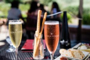 万州区篮球联赛名单查询指南万州区篮球联赛名单查询