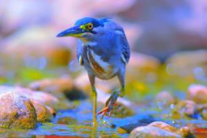 C罗和梅西能否在法甲赛场上共舞？法甲联赛的未来或许由此开启法甲联赛c罗梅西是一个队的吗